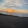chamalgr8