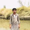 alimirwani4