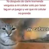 un_pelotud0_con_tiktok