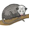 solemn0possum