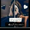 shan_hooyrr07