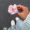 arwa_idl