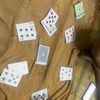 pichai_4456kuy