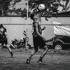menorg3.1