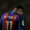 dav.njr10