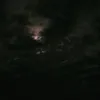 mmviii_0i