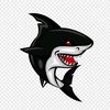shark_01_2016
