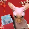 leminhthanh34