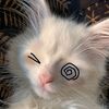 smokeycookie00