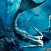 triton_mar_arena