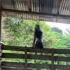 yoha.lozada5