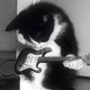 rowrrr_klik_klak