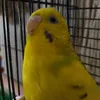 didi_gg0101
