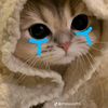 wazz_naa