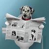 deniro_thedalmation