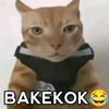 manusiakepeleset