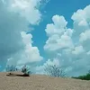 mohbatbaloch80