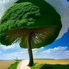 adilkhan_7890