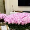 viiirgo_18sept