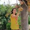 thithunguyen6050