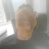 krishimudemon
