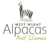 westwightalpacas