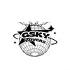 gpsky241