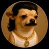 rafael_5.5