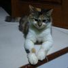 jenong465