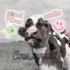 cow_sweet1