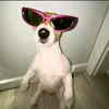 dacekvc