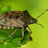 tiborvarga328