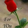 noor.islam.islam1