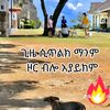 muhdinmehdi