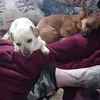 annettmews