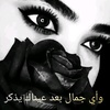 adan.haboob.marhb