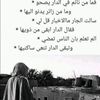 user6224007953115