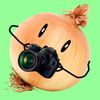 onion1360