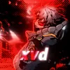 xvd498