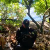 daichen0304