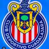 timchivas5