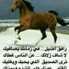 abas36259