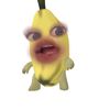 zygnaa
