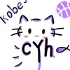 c_y_h_9_5