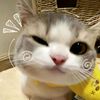 awe_delightful6