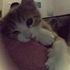 muathuthieuanhh