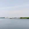 thanhvuinguyen5