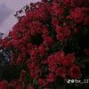 user9331976635491
