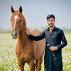muhammadwaleed446