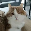 theeditor648